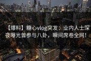 【爆料】糖心vlog突发：业内人士深夜曝光曾参与八卦，瞬间席卷全网！