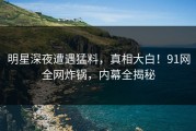 明星深夜遭遇猛料，真相大白！91网全网炸锅，内幕全揭秘