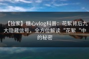 【独家】糖心vlog科普：花絮背后九大隐藏信号，全方位解读“花絮“中的秘密