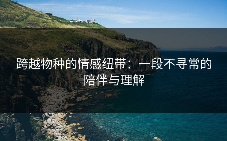 跨越物种的情感纽带：一段不寻常的陪伴与理解