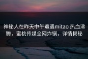 神秘人在昨天中午遭遇mitao 热血沸腾，蜜桃传媒全网炸锅，详情揭秘