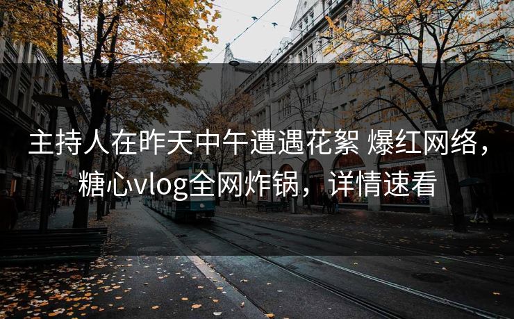 主持人在昨天中午遭遇花絮 爆红网络，糖心vlog全网炸锅，详情速看